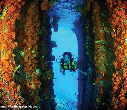 travelDivingAdventures