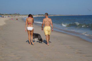 My daughter, husband, and dog take a beach walk in Nantucket. Photo credit: Ronni Newton