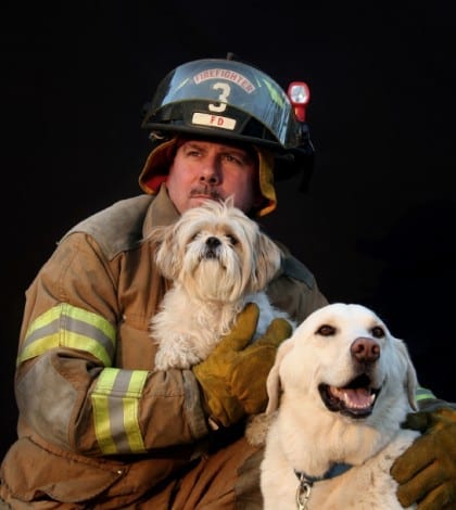 Firefirghter and Dogs