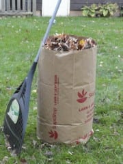 All leaves must be placed in 30-gallon biodegradable bags. Photo credit: Ronni Newton