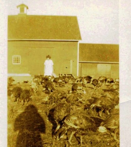 tbt wayback wed nov26