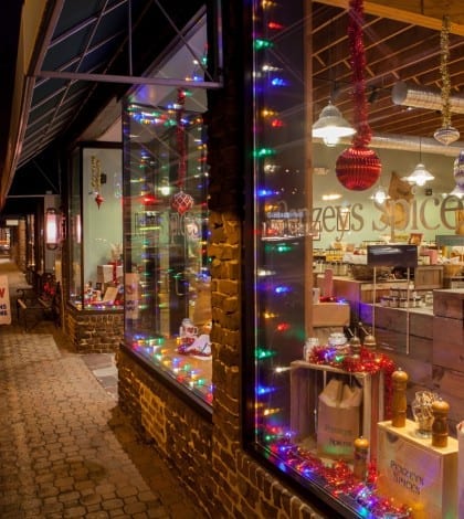 015_IRIS_Photography_Holiday_Stroll_sm