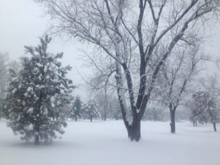 The snow creates a beautiful winter scene at Rockledge Golf Course. Photo credit: Ronni Newton