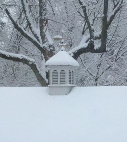 snow weathervane