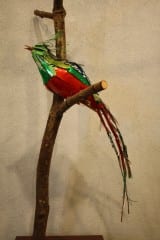 'Resplendent Quetzal' by Jane Shafer won Honorable Mention, Sculpture. Submitted photo