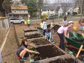 Morley students worked in the school's garden on Earth Day. Submitted photo