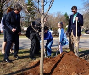 First graders Sam Lewis and Sophia Fiskewold (center) shovel dirt around the base of a tree planted with $400 raised at their birthday party in January. State Sen. Beth Bye (left), State Rep. Brian Becker (behind tree) and West Hartford Mayor Scott Slifka (right) also assist with the planting. Photo credit: Ronni Newton