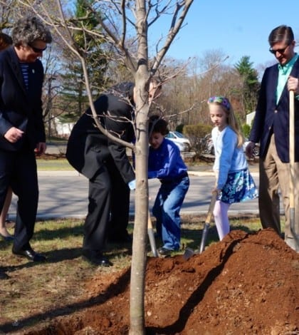 sam and sophia planting