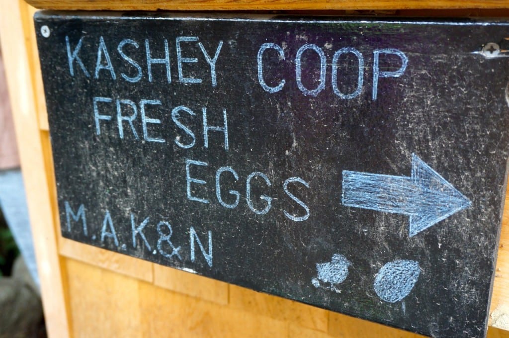 Sign on the outside of the Kashey's chicken coop. Photo credit: Ronni Newton