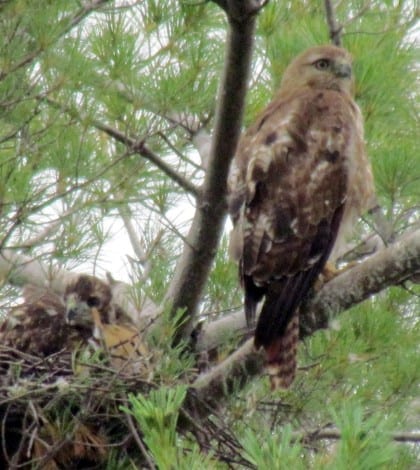 delamar and mom 06.28.15