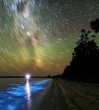 Lake Victoria Star Trails and Bioluminescence