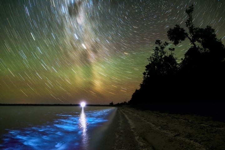 Lake Victoria Star Trails and Bioluminescence. Submitted photo