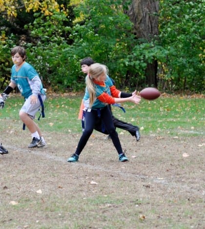 NFL FLag (184)-(ZF-4241-81687-1-004)