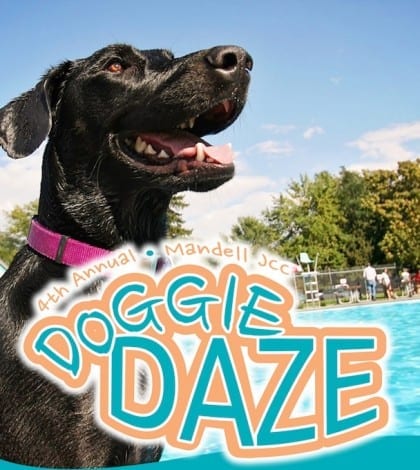 doggiedaze