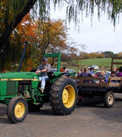 Copy of tractor big