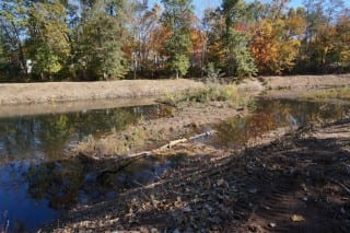 Sediment that has built up in Trout Brook impedes its use in flood control. Photo credit: Ronni Newton