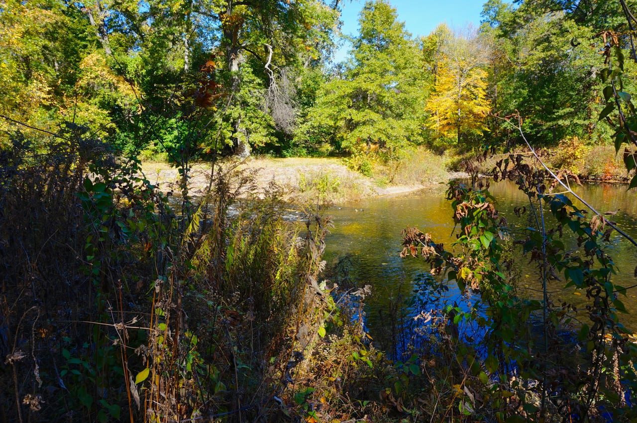 trout brook facing north WeHa West Hartford News