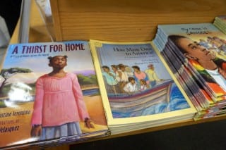An assortment of picture books with similar themes have been chosen for elementary school students. Photo credit: Ronni Newton