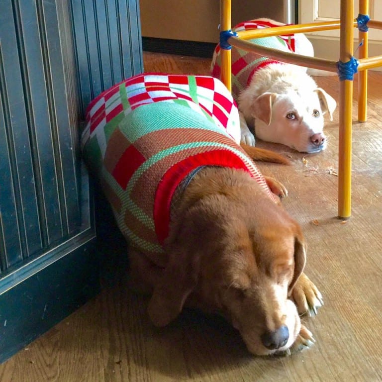 Georgia and Lucy LOVE their matching festive sweaters! Photo courtesy of Katie Wickham