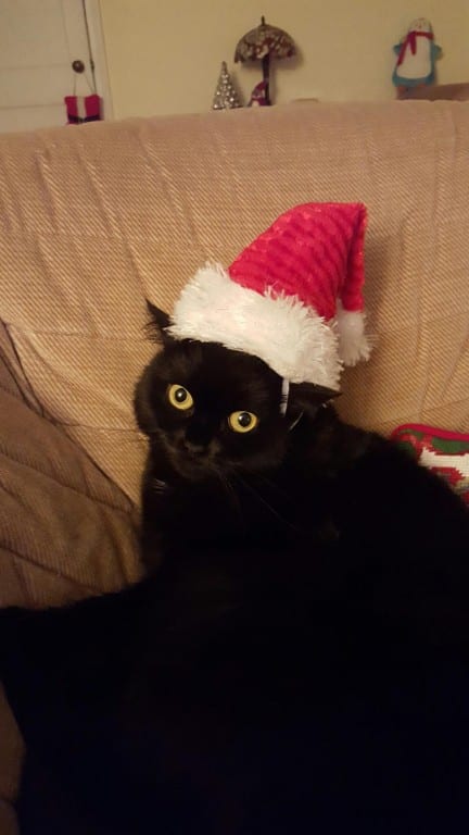 Olivia in her Santa hat. Photo courtesy of Debbi ZImbler