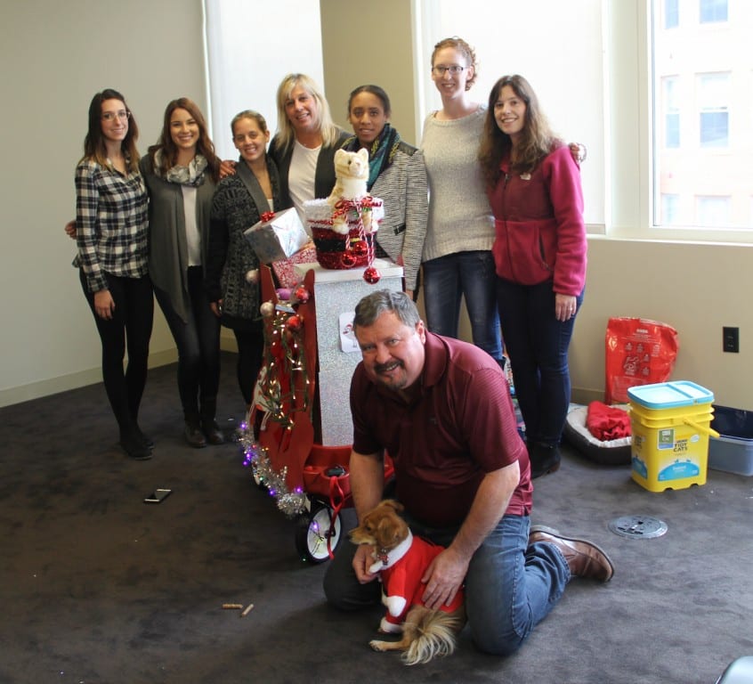 Jade Marketing Group's holiday pet drive team known as 'Team Catdog.' photo credit: Amy Melvin