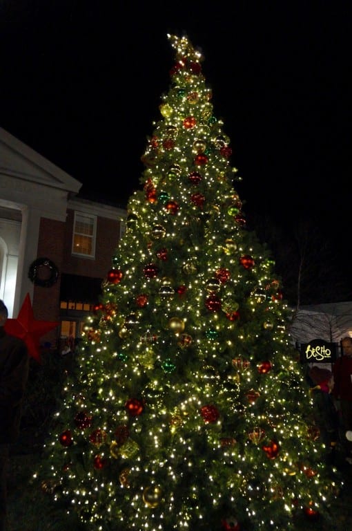 Tree in front of Flemings and Besito. West Hartford Holiday Stroll, Dec. 3, 2015. Photo credit: Ronni Newton