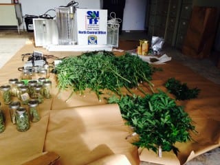 Marijuana plants and other items seized from 443 South Quaker Lane, West Hartford. Photo courtesy of Connecticut State Police