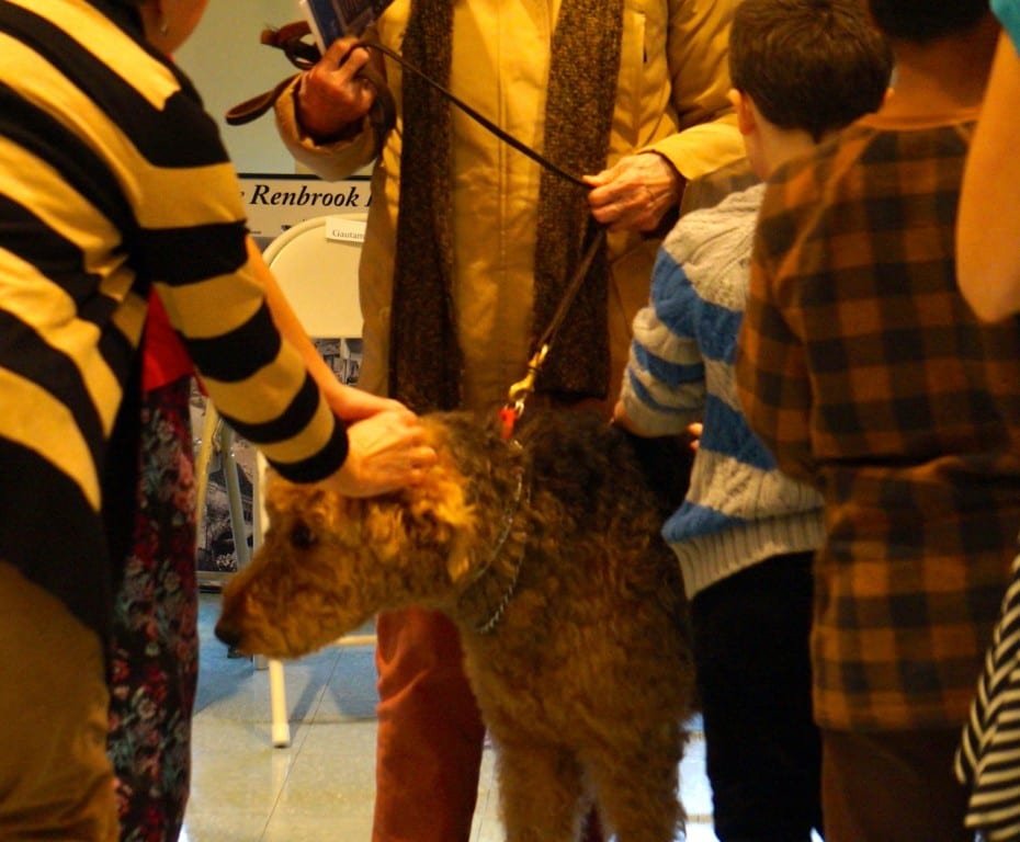 A trio of Airedale Terriers, the dog of the Rentschler family, attended the assembly. Photo credit: Ronni Newton