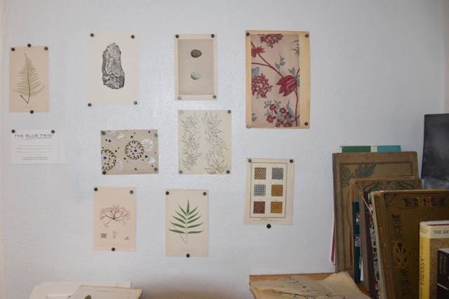 An inspiration wall in Ginny's studio. Antique books full of vintage prints line the shelf. Photo credit: Deb Cohen 