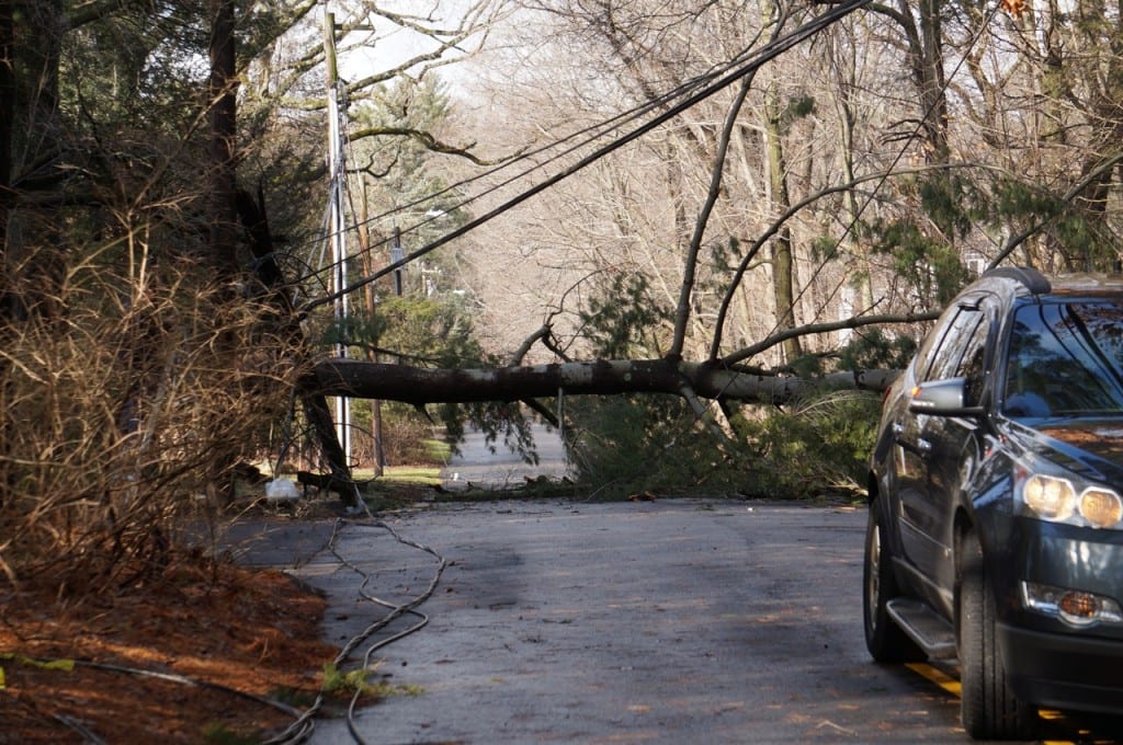 A tree fell across Soby Drive, near the intersection with Hunter Drive, blocking the road and taking down power lines. Photo credit: Ronni Newton