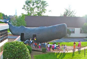 Conny the Whale will turn 40 this year. Submitted photo