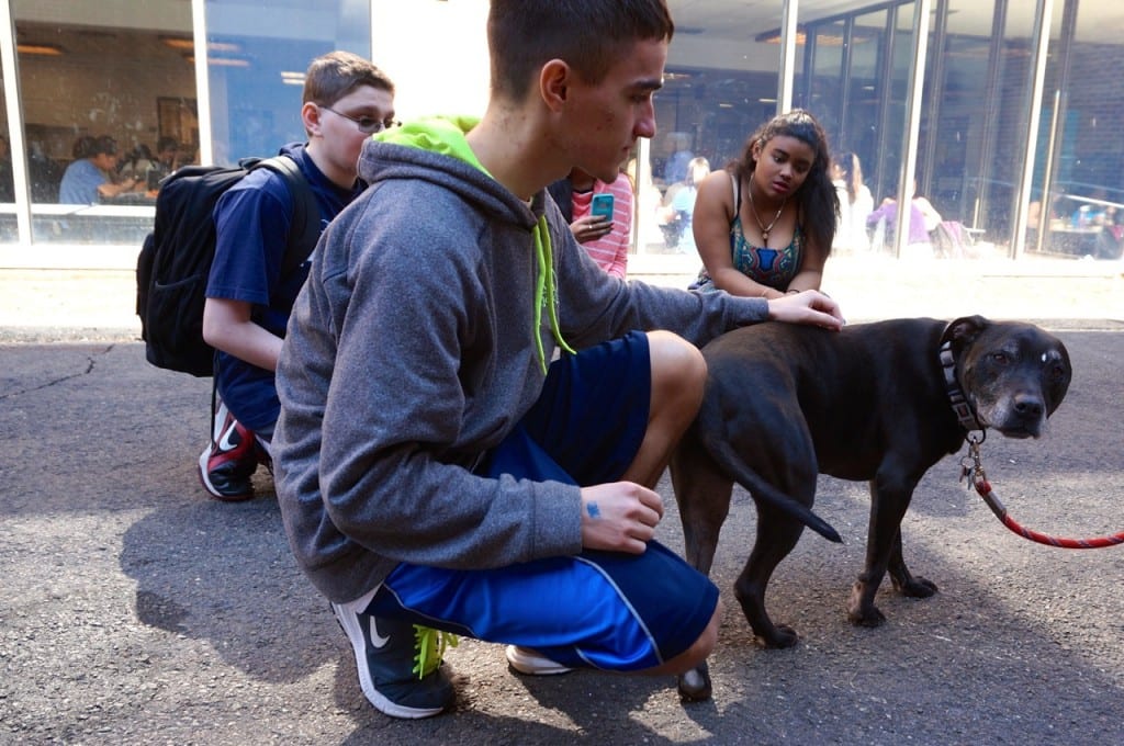 Students play with Buster, an 11-year-old lab mix. Do Something Day. Hall High School. March 9, 2016. Photo credit: Ronni Newton