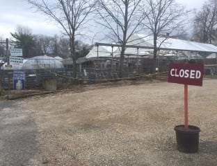 Patrissi Nursery is closed, at least for the season. Photo credit: Ronni Newton