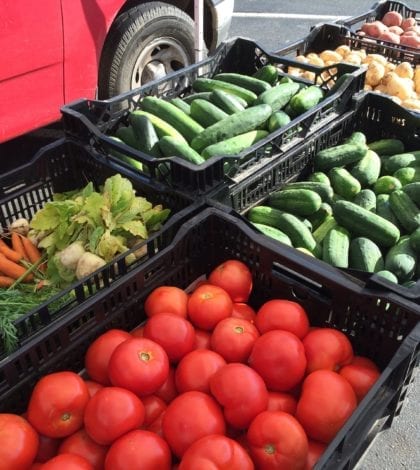 File Aug 29, 9 56 52 AM