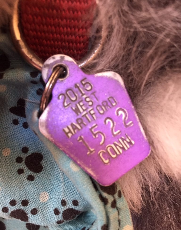 West Hartford Dog Owners Time to Renew Your Dog License WeHa West