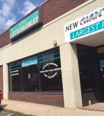 wise old dog and laundromat