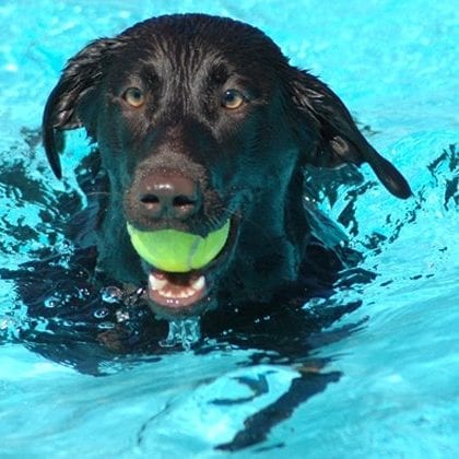 13770363_10153752185407514_7928879313665899797_n