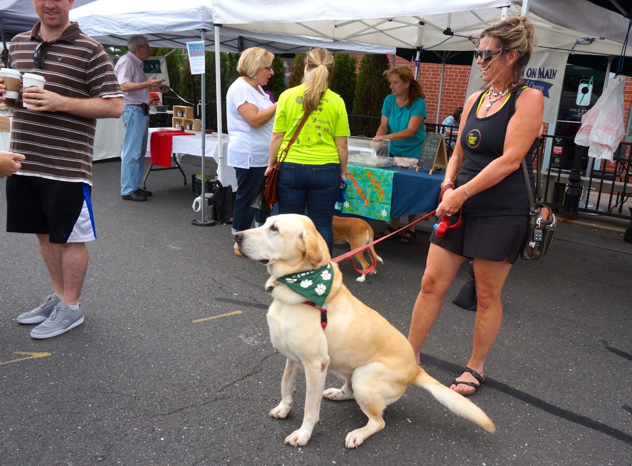 Dog Days of Summer at the Farmers' Market at Bishops Corner. Aug. 6, 2016. Photo credit: Ronni Newton
