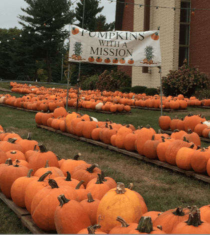 pumpkins with a mission