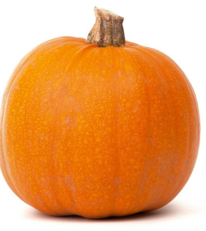 pumpkin-isolated