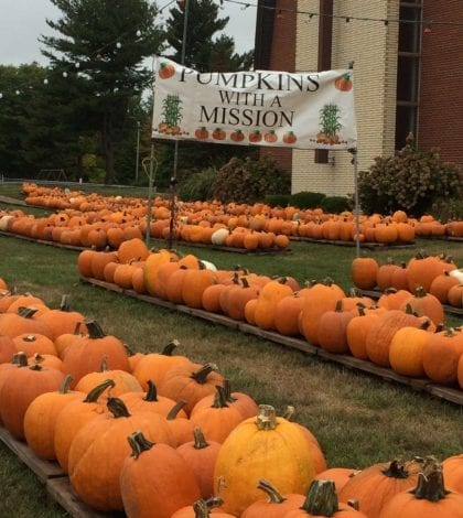 pumpkins-with-a-mission