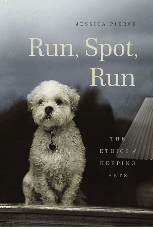 runspotrun_bookcover