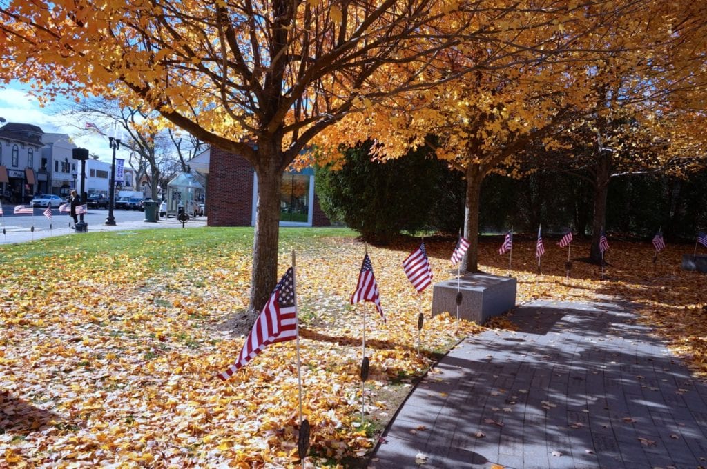 Veterans Day, West Hartford, Nov. 11, 2016. Photo credit: Ronni Newton