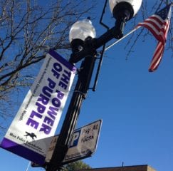 Power of Purple signs to raise awareness of pancreatic cancer can be seen throughout West Hartford Center. Photo credit: Joy Taylor