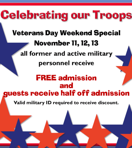 veterans-day-special-social-media