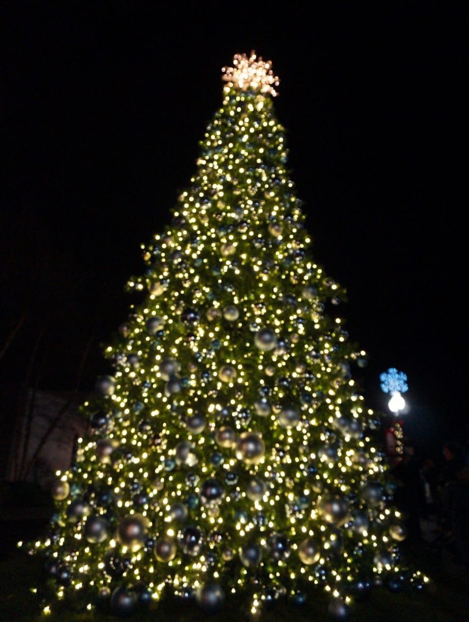 christmas-tree - We-Ha | West Hartford News