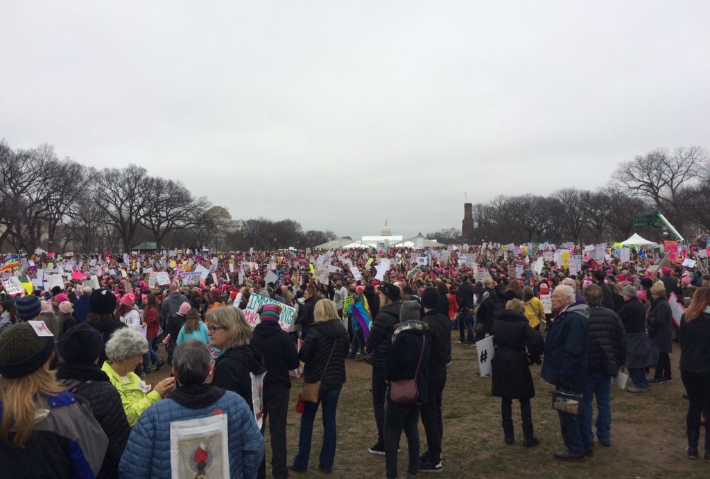 Women's March on Washington. Photo courtesy of Bob and Petra Carr