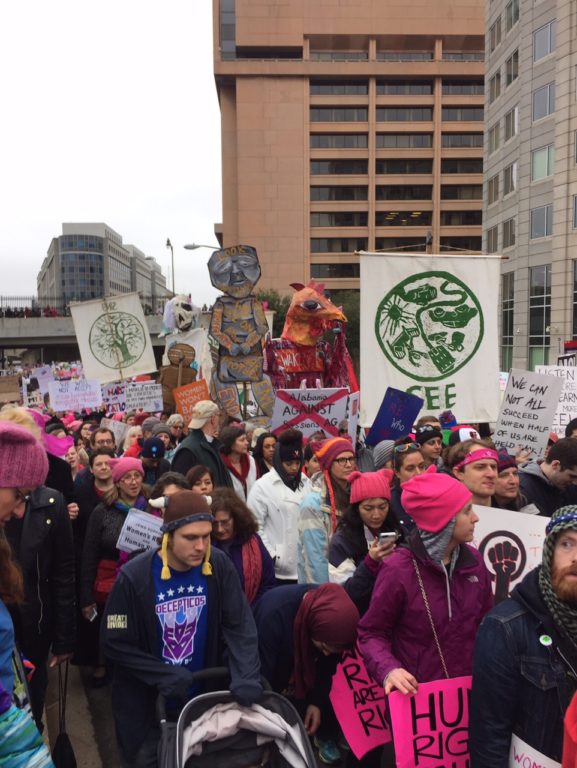 Women's March on Washington. Photo courtesy of Sharon Brewer
