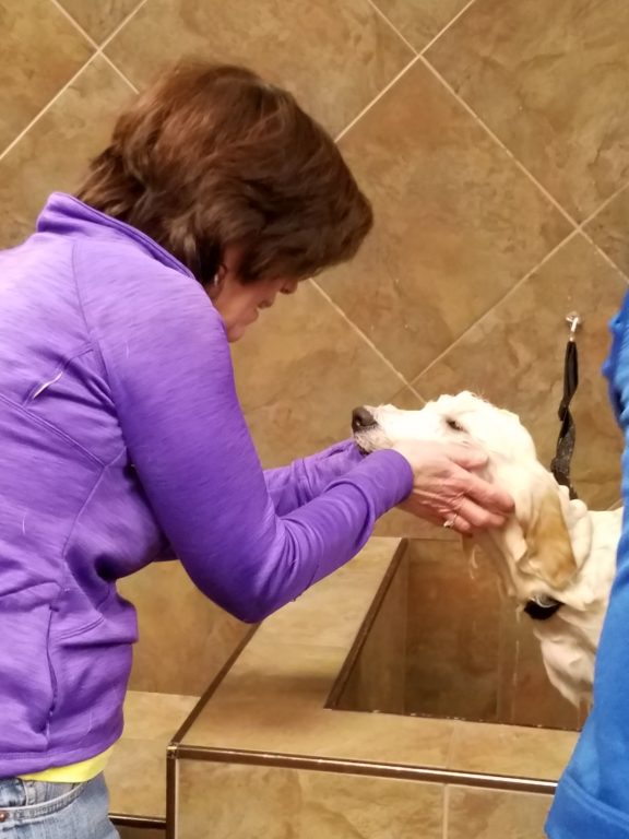 Jean Baril comforting a “first timer” to the dogwash. Submitted photo