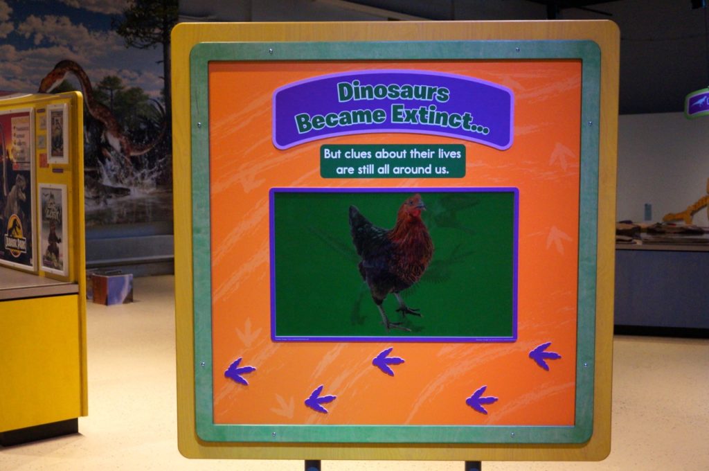 Dinosaurs in Your Backyard: A Portal to Past Worlds exhibit. The Children's Museum, West Hartford. Photo credit: Ronni Newton